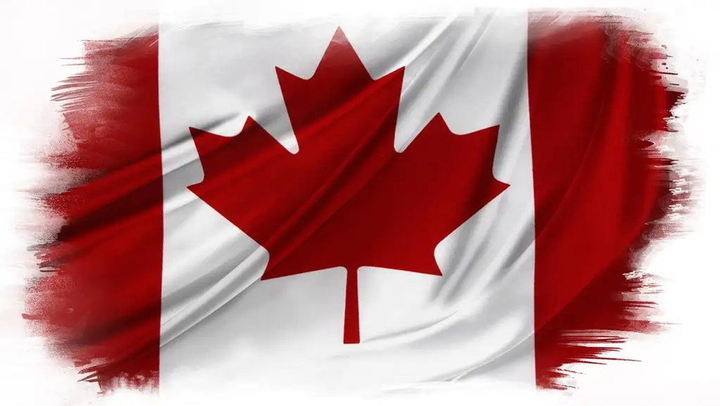 加拿大专线，中国到加拿大物流解决方案